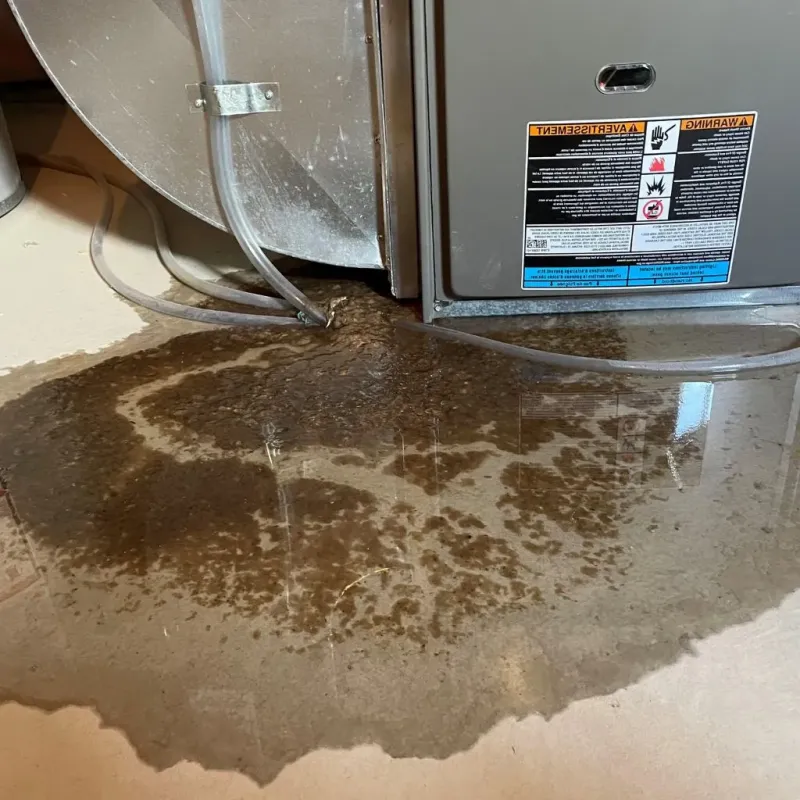 Pipe Burst and Leak Restoration in Lost Creek, TX