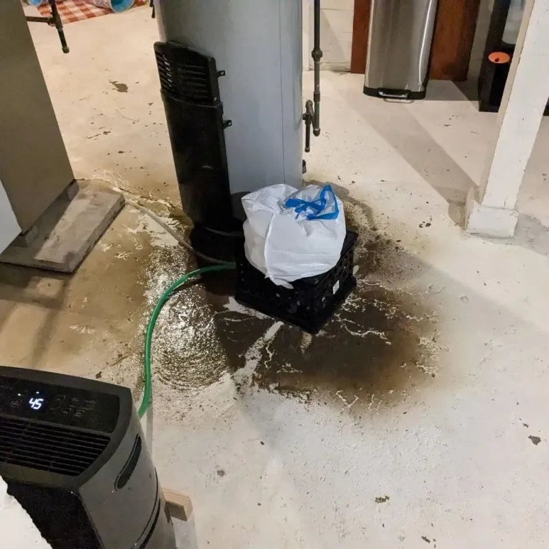Sewage Backup Cleanup Service in Lost Creek, TX